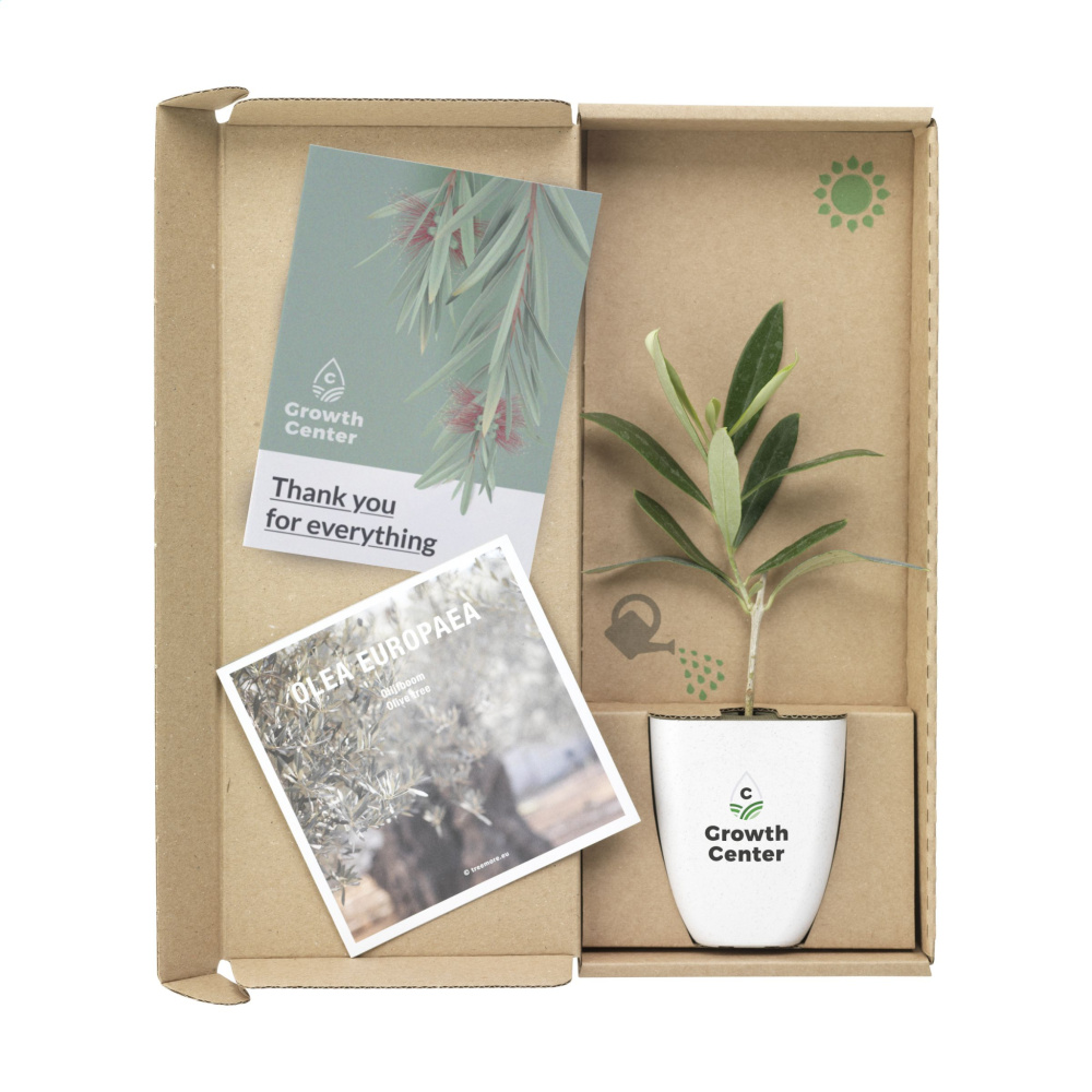 Logotrade dāvanas foto: Treemore Letterbox Trees Olive
