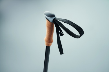 Лого трейд pекламные cувениры фото: Палки для ходьбы